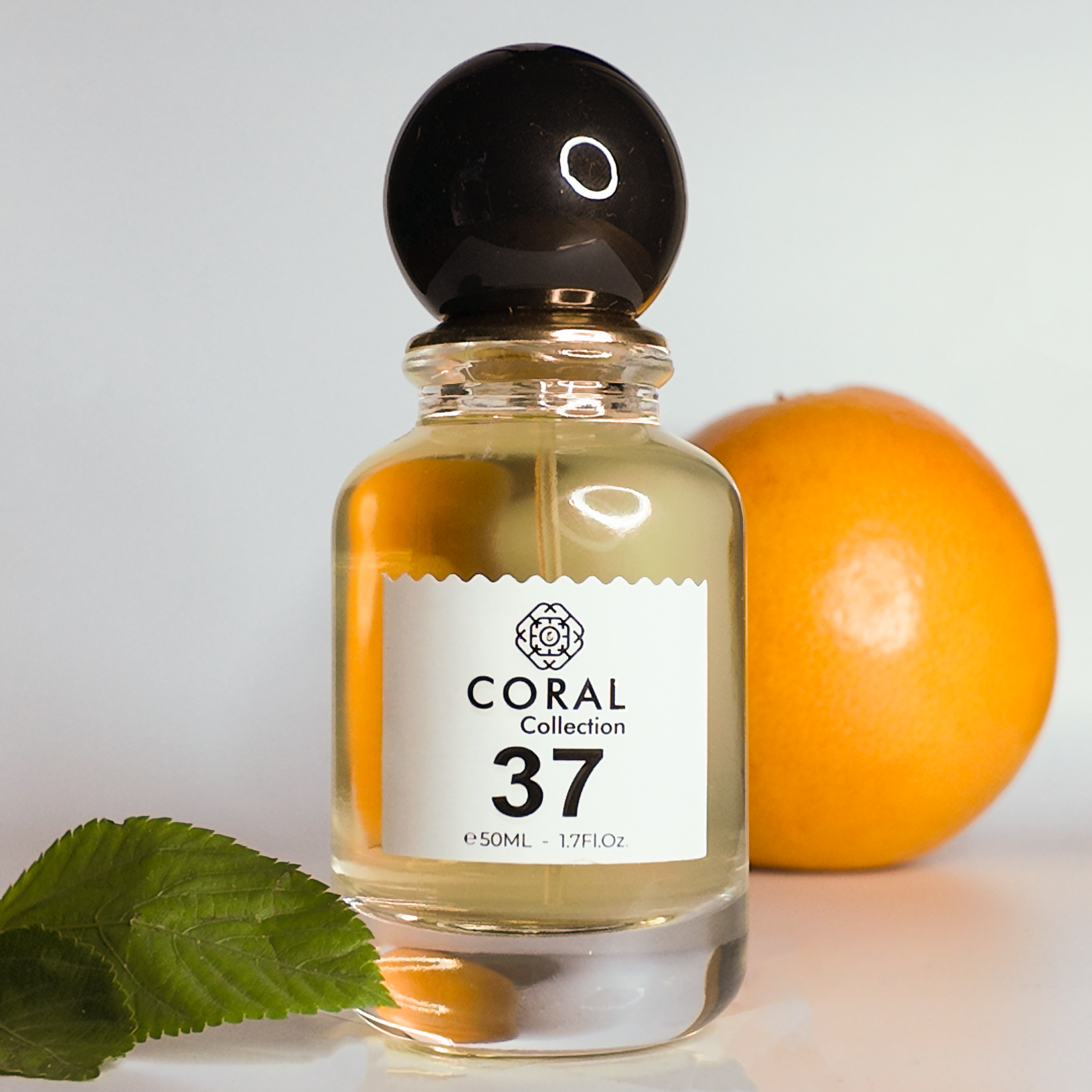 Coral 37